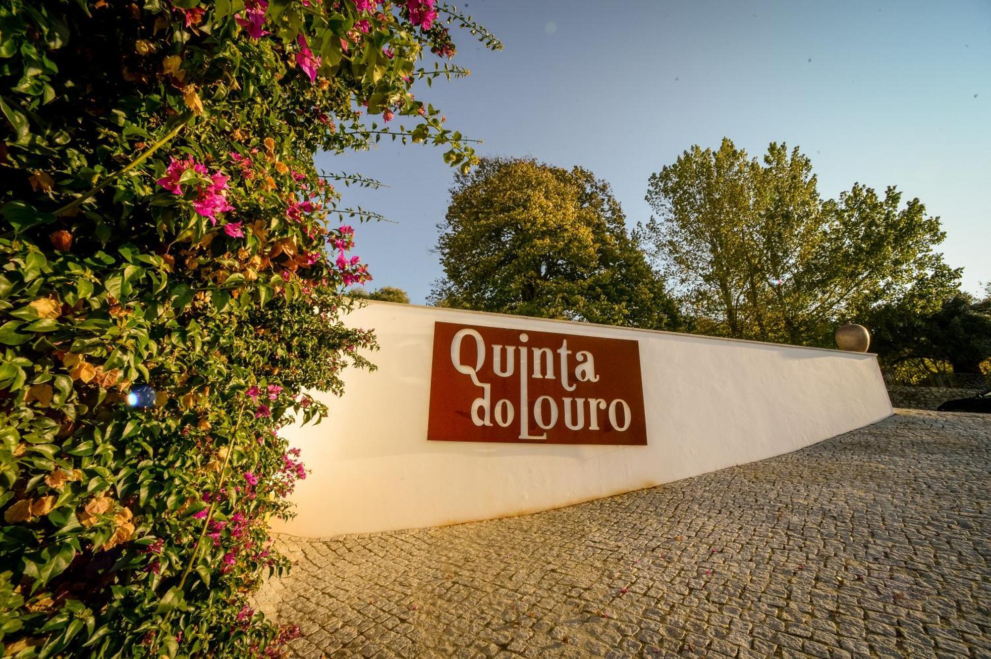 בית הארחה פלמלה 	Quinta Do Louro מראה חיצוני תמונה